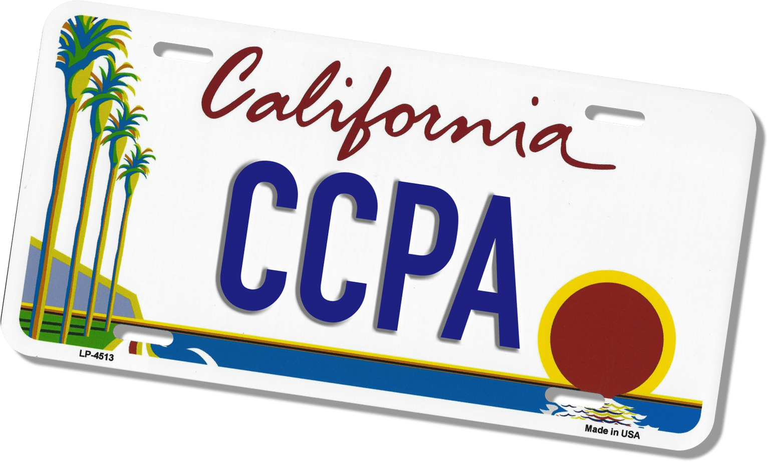 What You Need to Know about CCPA