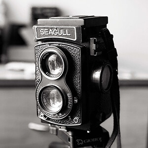 Photography_Seagull
