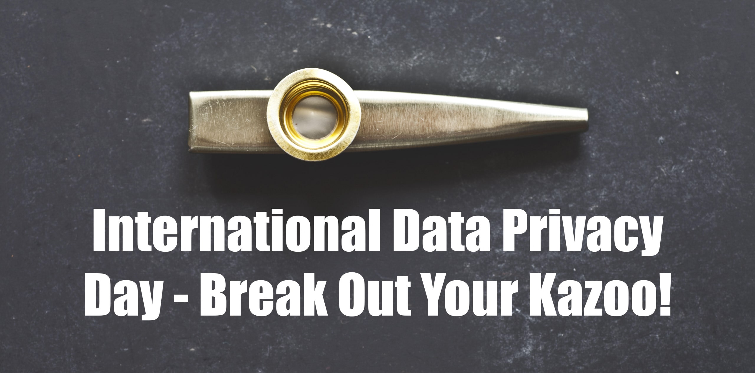 International Data Privacy Day — Break Out Your Kazoo!